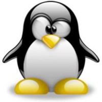 Linux (PT-BR)