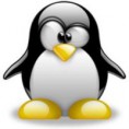 Linux (PT-BR)